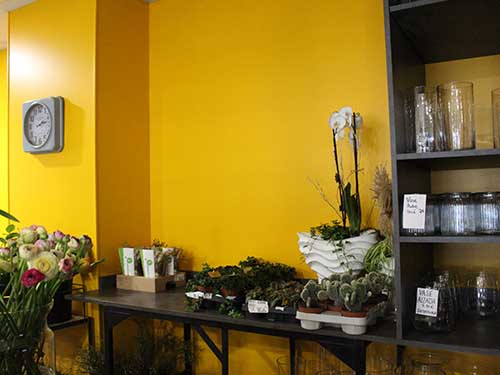 Image 01 de la galerie - SARL Le Bras